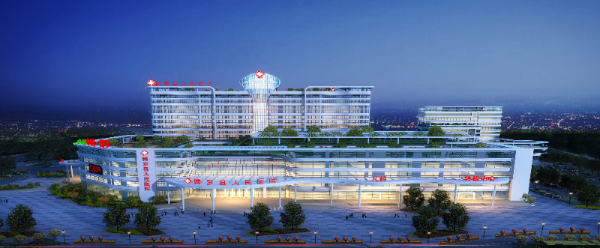 惠州市中心人民医院博罗分院（博罗县人民医院）2026年招聘